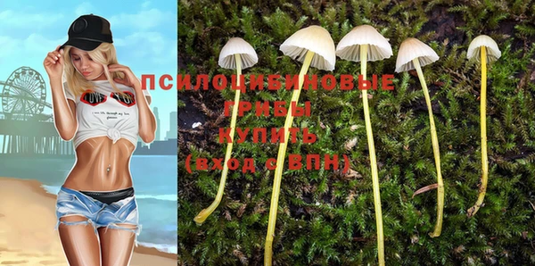 шишки Армянск