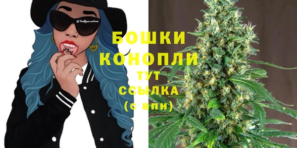 шишки Армянск