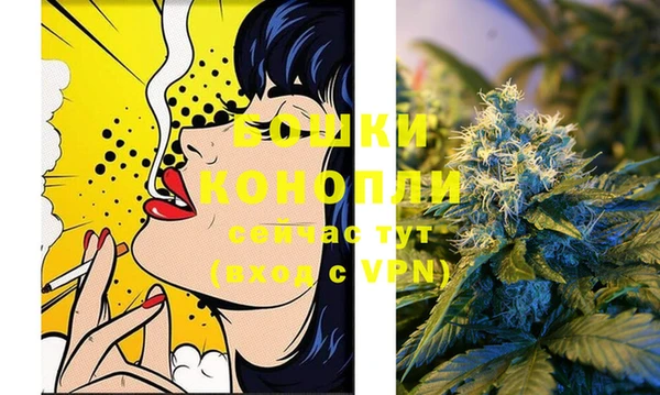 шишки Армянск